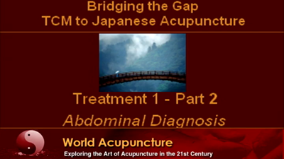 Brisbane 2010 - Part 2 - Abdominal Diagnosis
