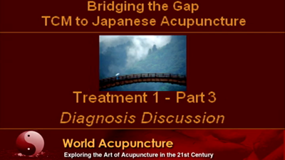 Brisbane 2010 - Part 3 Diagnosis in Japanese Acupuncture