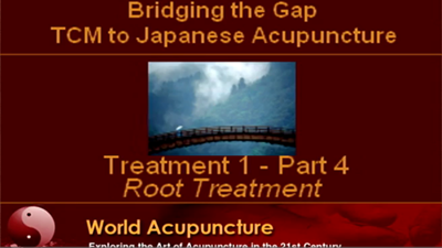Brisbane 2010 - Part 4 Formulating a treatment in Japanese Acupuncture