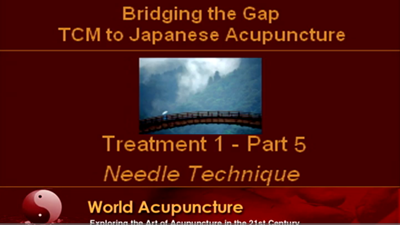 Brisbane 2010 - Part 5 Root Treatment in Japanese Acupuncture
