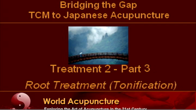 Brisbane 2010 Part 9 - Tonifying in Japanese Acupuncture