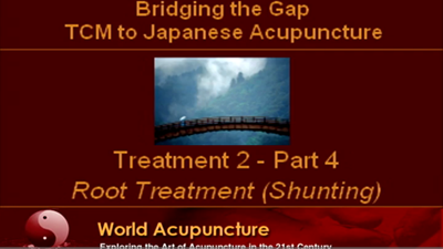 Brisbane 2010 - Part 10 - Treatment 2 Part 4 - Shunting in Japanese Acupuncture