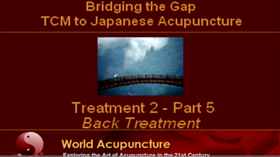 Brisbane 2010 - Part 11 - Treatment 2 Part 5 - Back Shu Needling