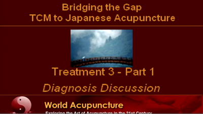Brisbane 2010 - Part 12 Treatment 3 Part 1 - Diagnosis Discussion