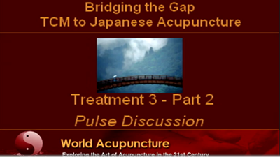 Brisbane 2010 - Part 13 Treatment 3 Part 2 - Pulse Discussion