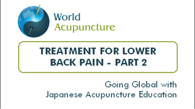 Low Back Pain And Deep Needling, Part 2