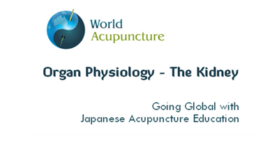 Traditional Kidney Physiology