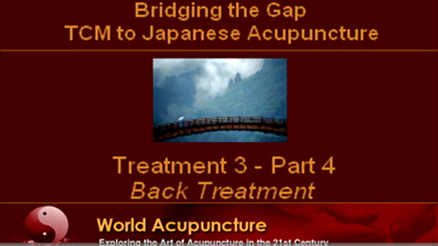 Brisbane 2010 - Part 15 - Treatment 3 Part 4