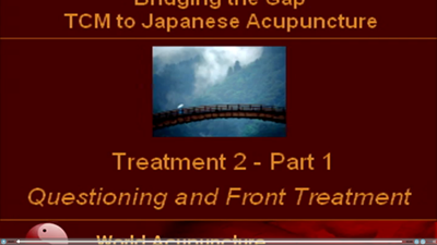 Brisbane 2010 - Part 7 Pulse Diagnosis Treatment 2 Part 1 - Questioning and Front Treatment