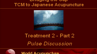 Brisbane 2010 - Part 8 - Treatment 2 Part 2 - Pulse discussion