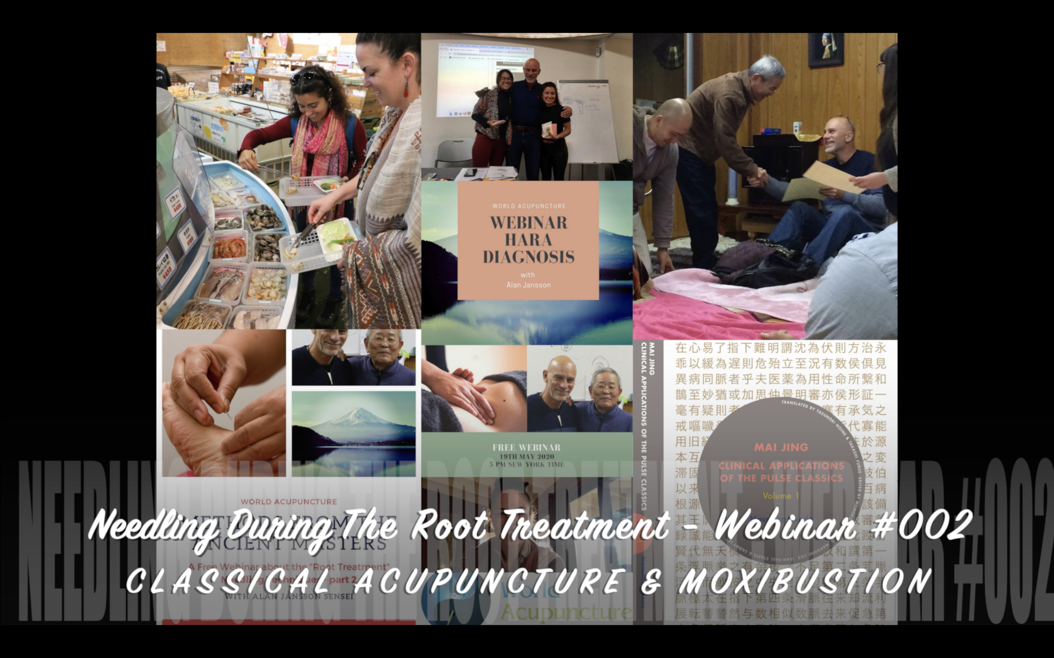 Exploring Needling Techniques Part 1 WEBINAR &##x23;0002