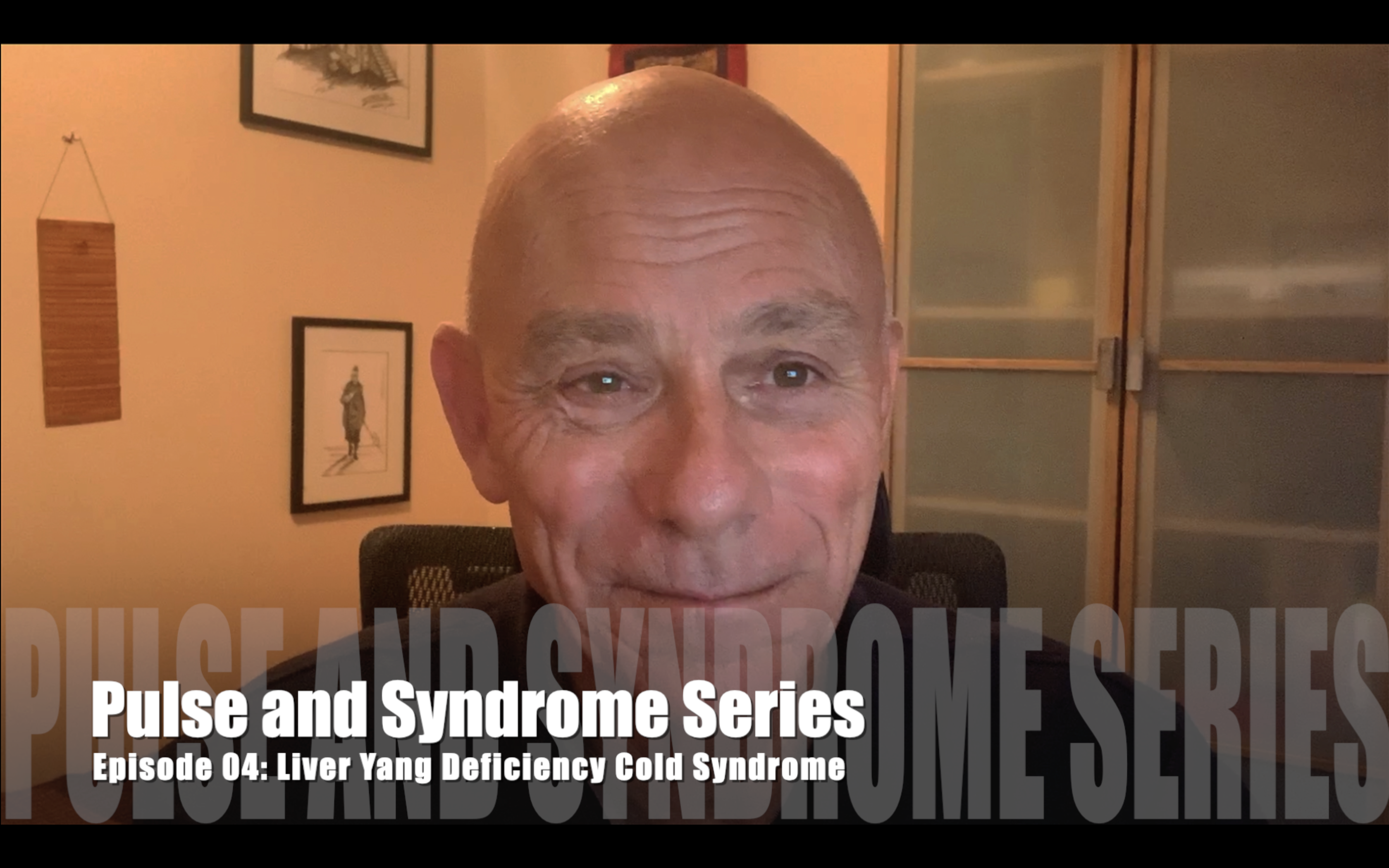 Pulse and Syndrome Series Episode&##x3a; 04 Liv Yang Def Cold Pattern