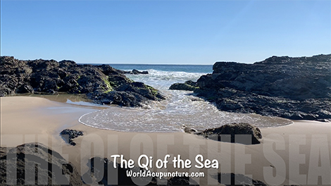 The Root treatment and the Qi of the Sea