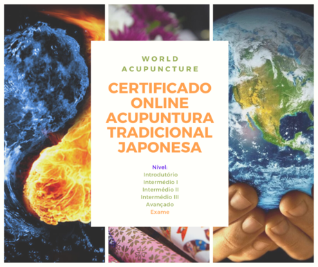 PORTUGU&Ecirc;S - CERTIFICADO ONLINE ACUPUNCTURA TRADICIONAL JAPONESA
