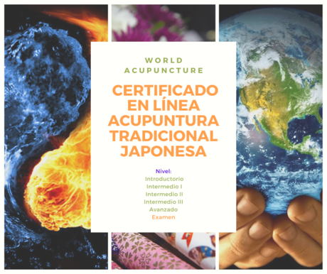 ESPA&Ntilde;OL - CERTIFICADO EN L&Iacute;NEA EN ACUPUNTURA Y MOXIBUSTION TRADICIONAL JAPONESA