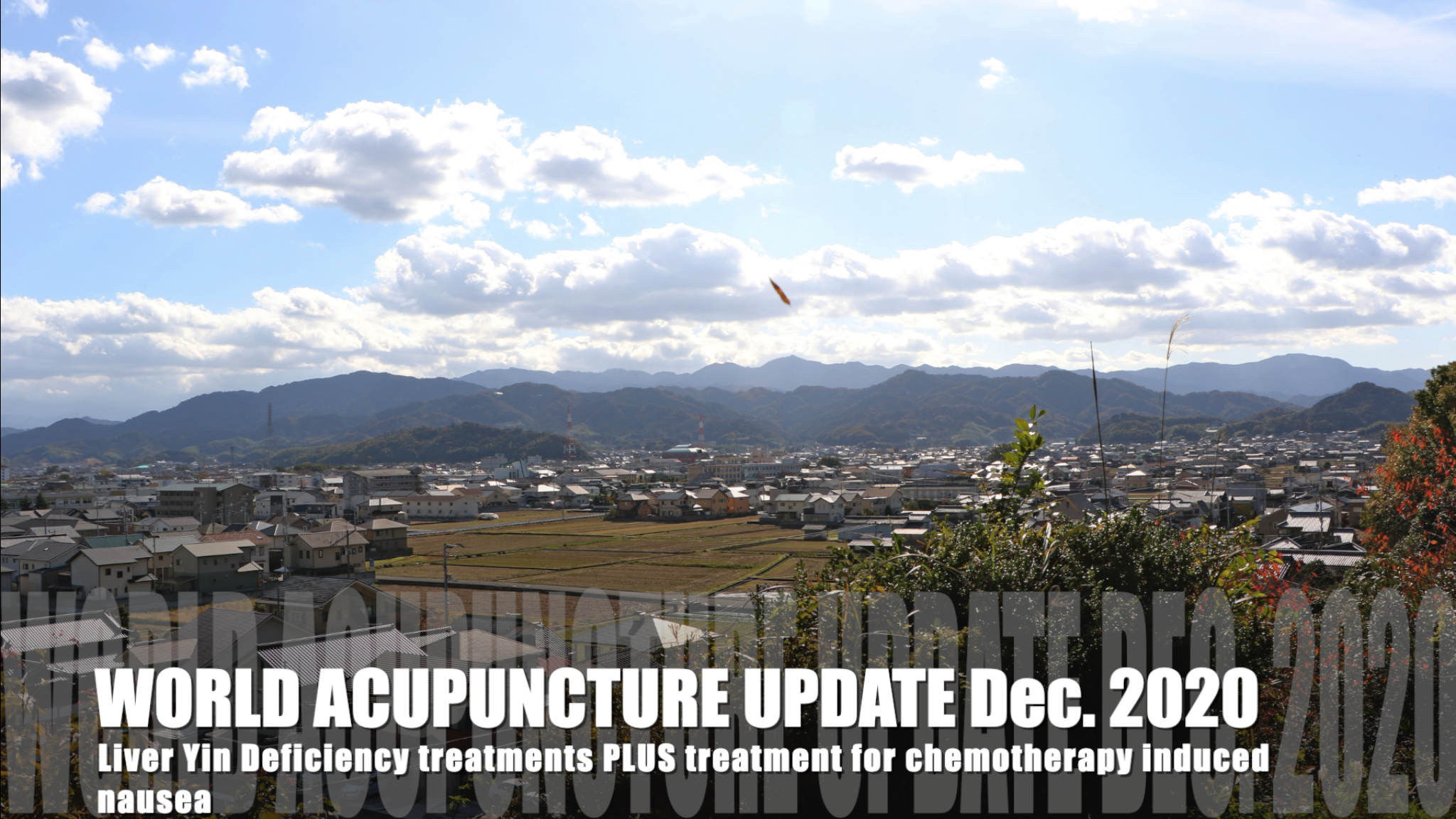 Liver Deficiency Yin Deficiency Treatments PLUS Treating Nausea from Chemotherapy