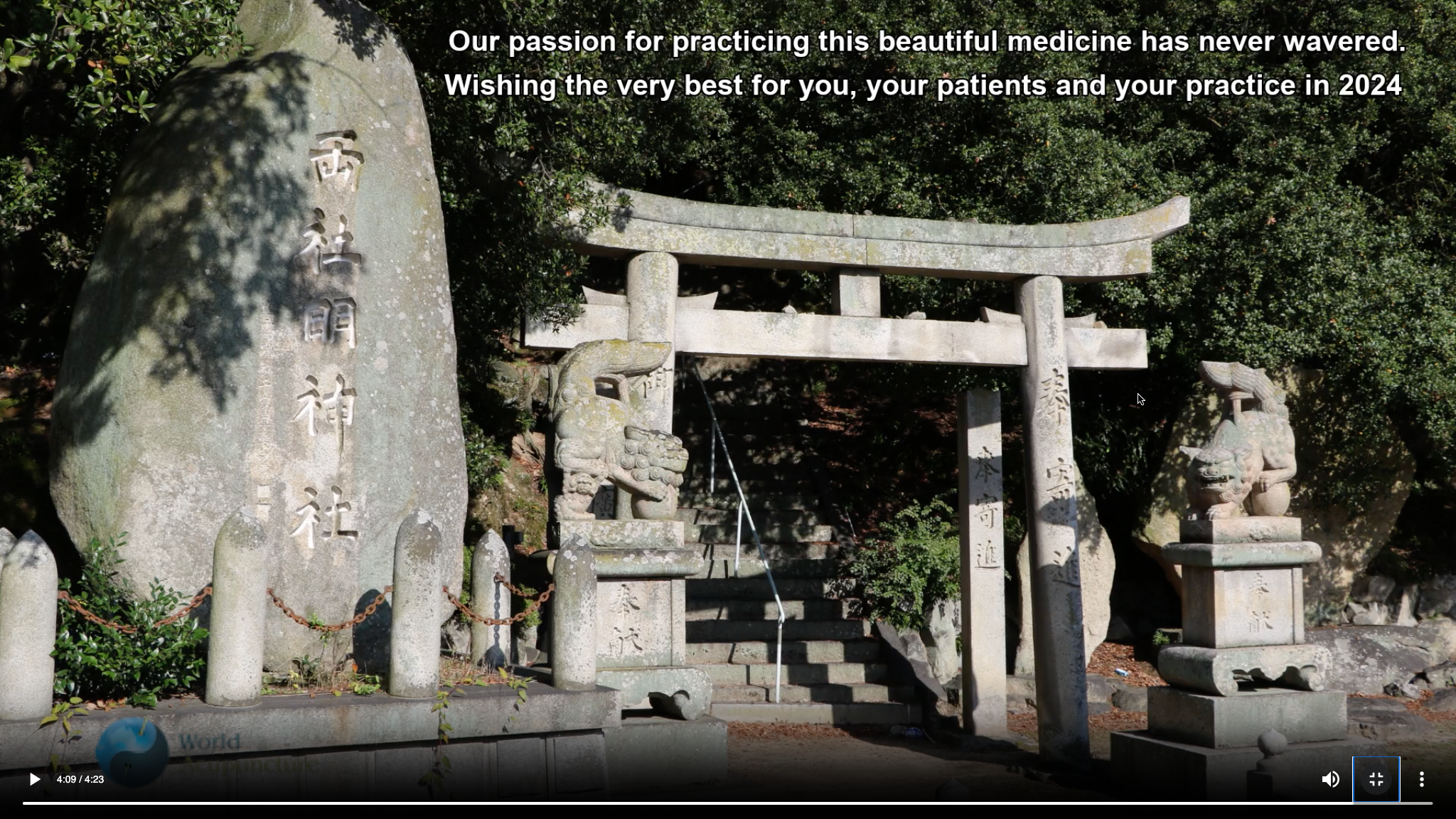 Potent yet Gentle Japanese Acupuncture Needling Skills