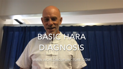 Basic Hara Diagnosis