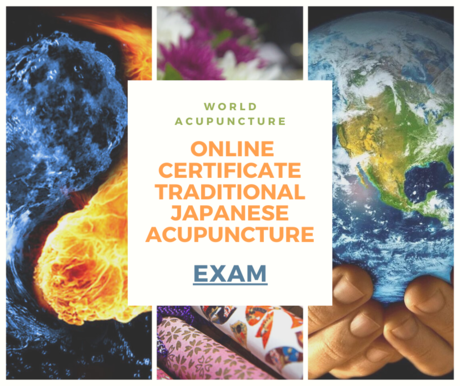 EXAM - Online Certificate Traditional Japanese Acupuncture 2020&##x2f;2021